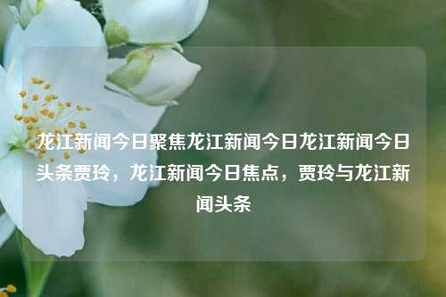 龙江新闻今日聚焦龙江新闻今日龙江新闻今日头条贾玲，龙江新闻今日焦点，贾玲与龙江新闻头条，龙江新闻今日焦点，贾玲与头条新闻的关联报道