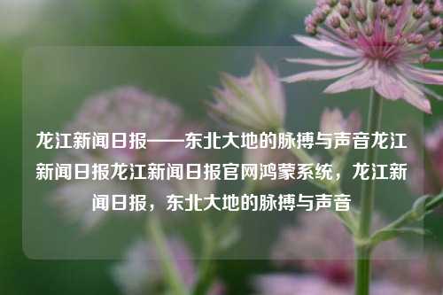 龙江新闻日报——东北大地的脉搏与声音龙江新闻日报龙江新闻日报官网鸿蒙系统，龙江新闻日报，东北大地的脉搏与声音，龙江新闻日报，东北大地的脉搏与时代之声