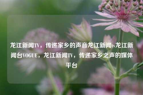 龙江新闻TV，传递家乡的声音龙江新闻tv龙江新闻台VOGUE，龙江新闻TV，传递家乡之声的媒体平台，龙江新闻TV，传递家乡之声的媒体平台