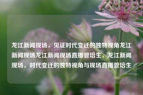 龙江新闻现场，见证时代变迁的独特视角龙江新闻现场龙江新闻现场直播管培生，龙江新闻现场，时代变迁的独特视角与现场直播管培生，龙江新闻现场，时代变迁的独特视角与管培生直播体验