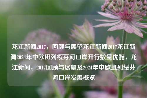 龙江新闻2017，回顾与展望龙江新闻2017龙江新闻2024年中欧班列绥芬河口岸开行数量优酷，龙江新闻，2017回顾与展望及2024年中欧班列绥芬河口岸发展概览，龙江新闻，2017回顾与展望及中欧班列绥芬河口岸发展概览