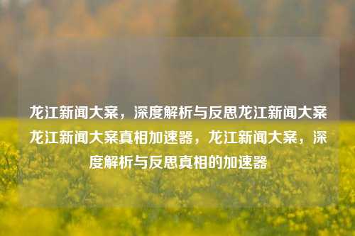 龙江新闻大案，深度解析与反思龙江新闻大案龙江新闻大案真相加速器，龙江新闻大案，深度解析与反思真相的加速器，龙江新闻大案，深度解析与反思真相的加速器