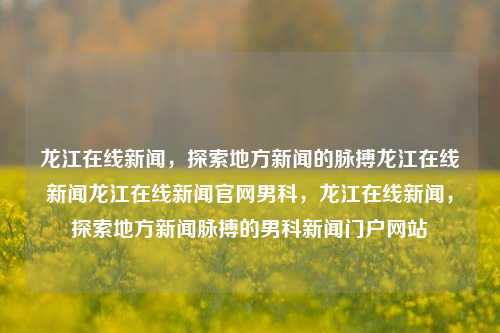 龙江在线新闻，探索地方新闻的脉搏龙江在线新闻龙江在线新闻官网男科，龙江在线新闻，探索地方新闻脉搏的男科新闻门户网站，龙江在线新闻，探索地方新闻脉搏的男科新闻门户网站