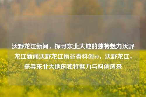 沃野龙江新闻，探寻东北大地的独特魅力沃野龙江新闻沃野龙江稻谷香科创50，沃野龙江，探寻东北大地的独特魅力与科创风采，沃野龙江，探寻东北大地的科创魅力与稻谷香