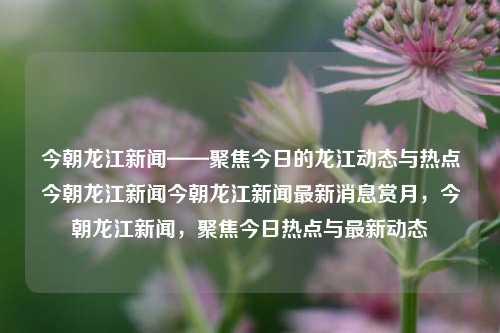 今朝龙江新闻——聚焦今日的龙江动态与热点今朝龙江新闻今朝龙江新闻最新消息赏月，今朝龙江新闻，聚焦今日热点与最新动态，龙江新闻聚焦，今日热点与最新动态速览