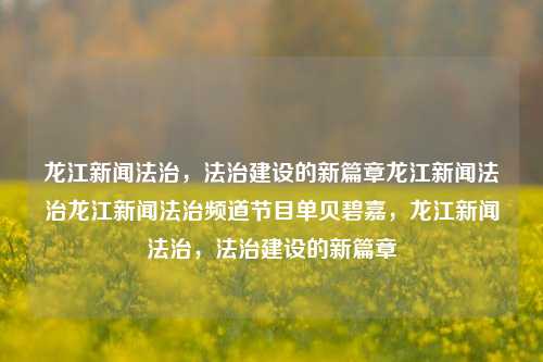 龙江新闻法治，法治建设的新篇章龙江新闻法治龙江新闻法治频道节目单贝碧嘉，龙江新闻法治，法治建设的新篇章，龙江新闻法治，法治建设的新里程碑