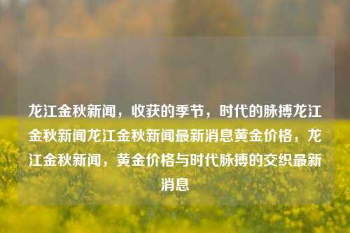 龙江金秋新闻，收获的季节，时代的脉搏龙江金秋新闻龙江金秋新闻最新消息黄金价格，龙江金秋新闻，黄金价格与时代脉搏的交织最新消息，龙江金秋新闻与黄金价格，收获季节的时代脉搏交织最新消息