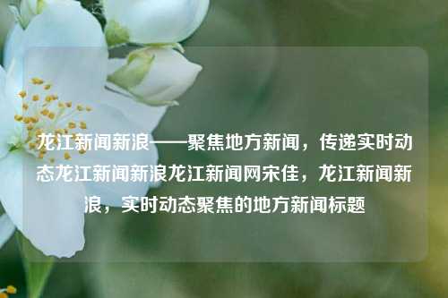 龙江新闻新浪——聚焦地方新闻，传递实时动态龙江新闻新浪龙江新闻网宋佳，龙江新闻新浪，实时动态聚焦的地方新闻标题，龙江新闻新浪，实时聚焦地方动态，传递新闻快讯