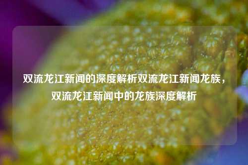 双流龙江新闻的深度解析双流龙江新闻龙族，双流龙江新闻中的龙族深度解析，双流龙江新闻中龙族的深度解析