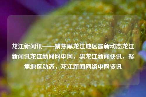 龙江新闻讯——聚焦黑龙江地区最新动态龙江新闻讯龙江新闻网中网，黑龙江新闻快讯，聚焦地区动态，龙江新闻网络中网资讯，黑龙江地区新闻快讯聚焦最新动态