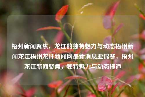 梧州新闻聚焦，龙江的独特魅力与动态梧州新闻龙江梧州龙圩新闻网最新消息亚锦赛，梧州龙江新闻聚焦，独特魅力与动态报道，梧州龙江新闻聚焦，独特魅力与动态报道的新闻概览