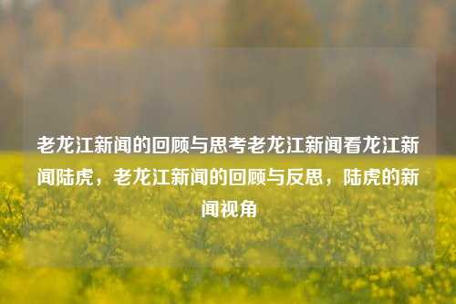 老龙江新闻的回顾与思考老龙江新闻看龙江新闻陆虎，老龙江新闻的回顾与反思，陆虎的新闻视角，老龙江新闻视角下的陆虎与时代反思