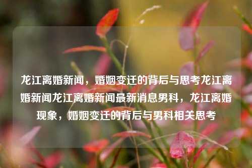 龙江离婚新闻，婚姻变迁的背后与思考龙江离婚新闻龙江离婚新闻最新消息男科，龙江离婚现象，婚姻变迁的背后与男科相关思考，龙江离婚现象，婚姻变迁背后的男科相关思考与最新动态