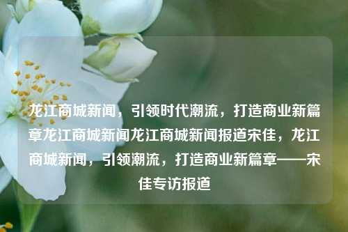 龙江商城新闻，引领时代潮流，打造商业新篇章龙江商城新闻龙江商城新闻报道宋佳，龙江商城新闻，引领潮流，打造商业新篇章——宋佳专访报道，龙江商城新闻，宋佳专访，引领潮流，打造商业新篇章