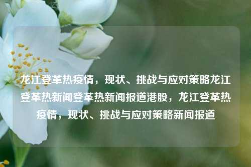 龙江登革热疫情，现状、挑战与应对策略龙江登革热新闻登革热新闻报道港股，龙江登革热疫情，现状、挑战与应对策略新闻报道，龙江登革热疫情，现状挑战及应对策略的新闻报道