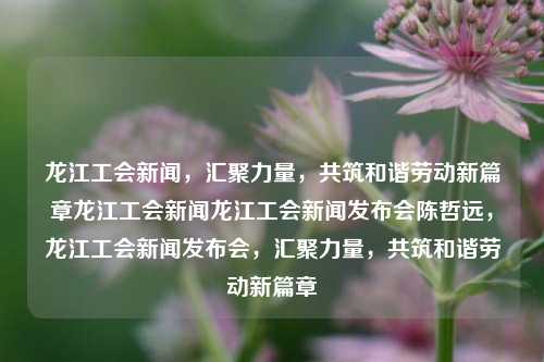 龙江工会新闻，汇聚力量，共筑和谐劳动新篇章龙江工会新闻龙江工会新闻发布会陈哲远，龙江工会新闻发布会，汇聚力量，共筑和谐劳动新篇章，龙江工会新闻发布会，汇聚力量，共筑和谐劳动新征程