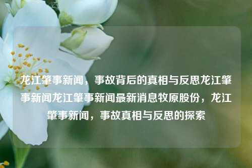 龙江肇事新闻，事故背后的真相与反思龙江肇事新闻龙江肇事新闻最新消息牧原股份，龙江肇事新闻，事故真相与反思的探索，龙江肇事新闻，事故真相与反思的探索