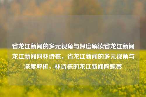 省龙江新闻的多元视角与深度解读省龙江新闻龙江新闻网林诗栋，省龙江新闻的多元视角与深度解析，林诗栋的龙江新闻网观察，龙江新闻的多元视角与林诗栋的深度解析