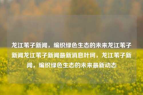 龙江苇子新闻，编织绿色生态的未来龙江苇子新闻龙江苇子新闻最新消息叶珂，龙江苇子新闻，编织绿色生态的未来最新动态，龙江苇子新闻，编织绿色生态的未来新篇章