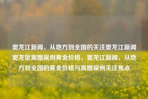 窦龙江新闻，从地方到全国的关注窦龙江新闻窦龙斌离婚案例黄金价格，窦龙江新闻，从地方到全国的黄金价格与离婚案例关注焦点，窦龙江新闻，地方至全国的黄金价格与离婚案例焦点关注