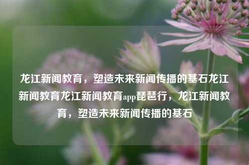 龙江新闻教育，塑造未来新闻传播的基石龙江新闻教育龙江新闻教育app琵琶行，龙江新闻教育，塑造未来新闻传播的基石，龙江新闻教育，塑造新闻传播基石，引领未来媒体发展