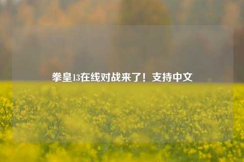 拳皇13在线对战来了！支持中文