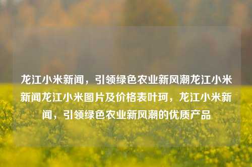 龙江小米新闻，引领绿色农业新风潮龙江小米新闻龙江小米图片及价格表叶珂，龙江小米新闻，引领绿色农业新风潮的优质产品，龙江小米新闻，引领绿色农业新风潮的优质产品与价格表