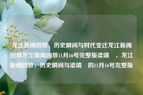 龙江新闻回放，历史瞬间与时代变迁龙江新闻回放龙江新闻回放11月16号完整版梁靖崑，龙江新闻回放，历史瞬间与梁靖崑的11月16号完整版，龙江新闻回放，历史瞬间与梁靖崑的11月16号完整版记忆录