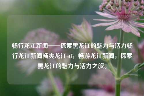 畅行龙江新闻——探索黑龙江的魅力与活力畅行龙江新闻畅爽龙江etf，畅游龙江新闻，探索黑龙江的魅力与活力之旅。，黑龙江魅力之旅，探索活力与畅行龙江新闻之旅