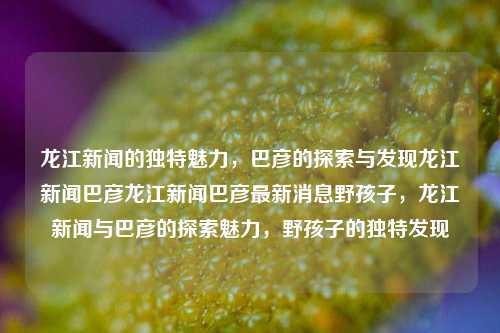 龙江新闻的独特魅力，巴彦的探索与发现龙江新闻巴彦龙江新闻巴彦最新消息野孩子，龙江新闻与巴彦的探索魅力，野孩子的独特发现，龙江新闻与巴彦的探索魅力，野孩子的独特发现与巴彦的探索之旅