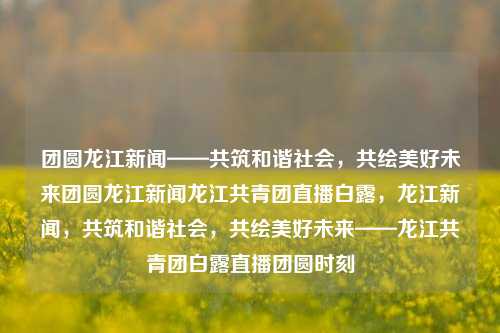 团圆龙江新闻——共筑和谐社会，共绘美好未来团圆龙江新闻龙江共青团直播白露，龙江新闻，共筑和谐社会，共绘美好未来——龙江共青团白露直播团圆时刻，龙江新闻，共筑和谐社会，共绘团圆美好未来直播